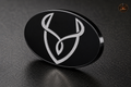 Desire Logo Key Chain/Bracelet