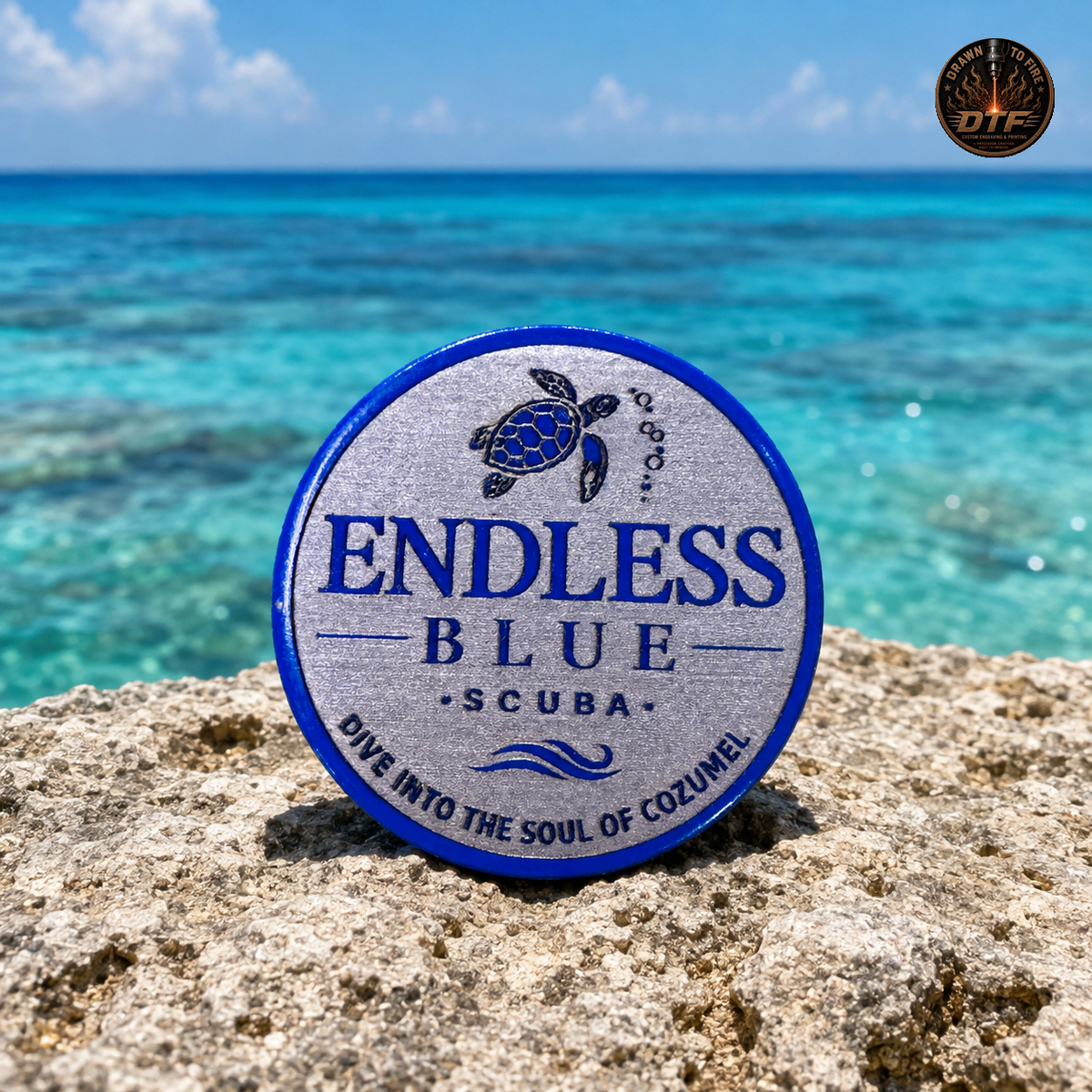 Limited Edition Blue SS Coin 40 mm