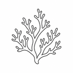 Ocean Series coral engraving design