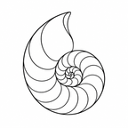 Ocean Series nautilus shell engraving design