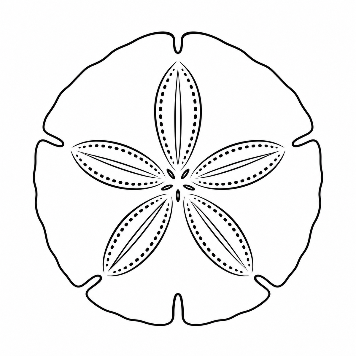 Ocean Series sand dollar engraving design